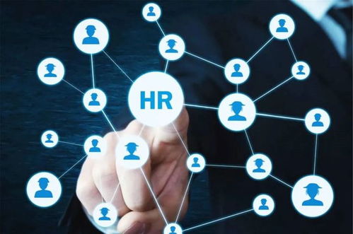 農(nóng)業(yè)“新農(nóng)人” 想做風(fēng)口上的“智能豬”，技術(shù)開(kāi)發(fā)能力不可少